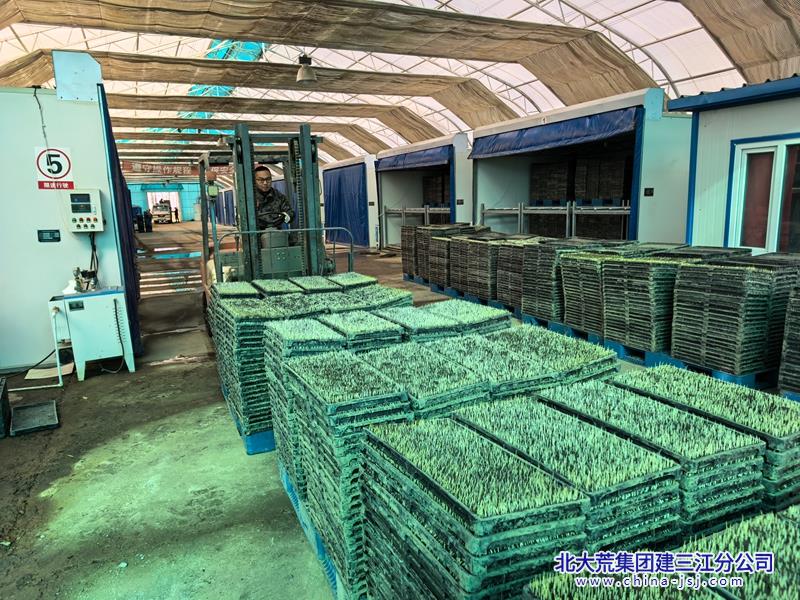 微信图片_20250407090959.jpg