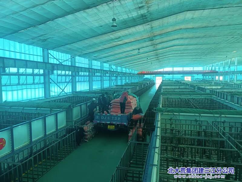 创业农场有限公司拉开浸种催芽帷幕(图1)