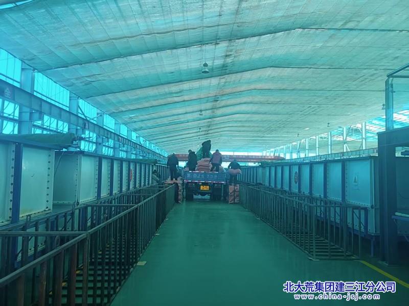创业农场有限公司拉开浸种催芽帷幕(图3)
