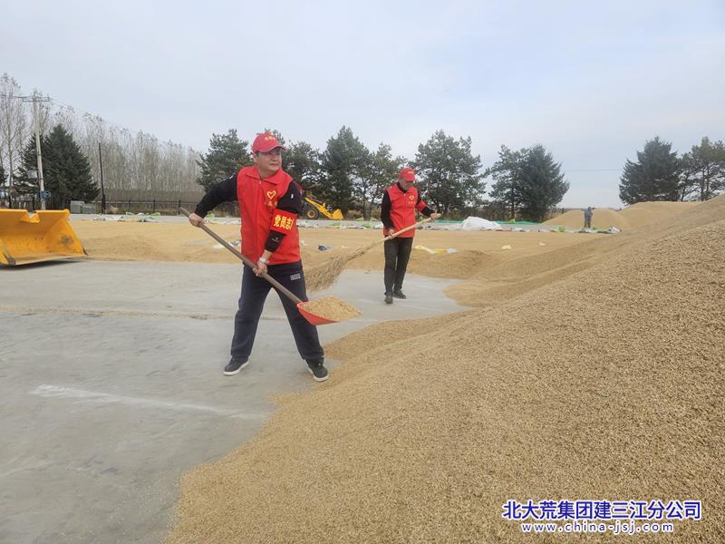 第二管理区党员干部传粮1_副本.jpg