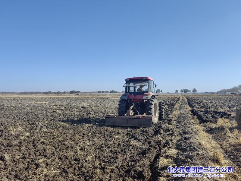 七星农场有限公司高标准推进秋旋地助力“黑色越冬”进程(图2)
