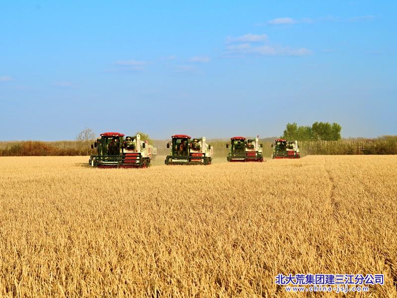 3f1c62958a35dfdfb9374947ce88c8a_副本.jpg