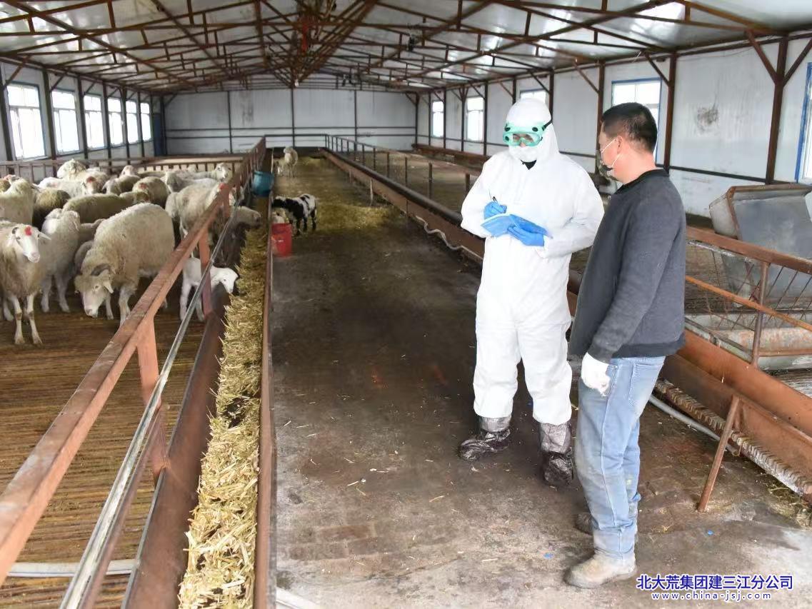 大兴农场有限公司开展春季动物免疫  筑牢安全“防护网”(图2)