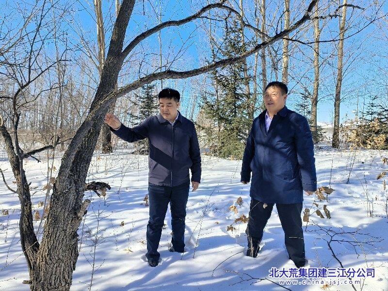 七星农场有限公司以“林长制”筑牢生态屏障 绘就绿色发展新画卷(图2)