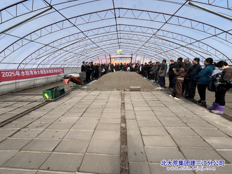 七星农场有限公司摆盘定标提效能 春播生产稳根基(图1)