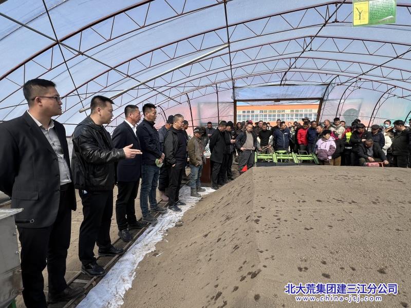 七星农场有限公司摆盘定标提效能 春播生产稳根基(图2)