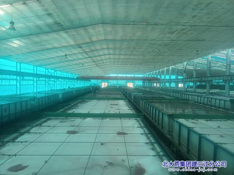 创业农场有限公司开启浸种催芽工作为春耕生产“加速度”(图1)