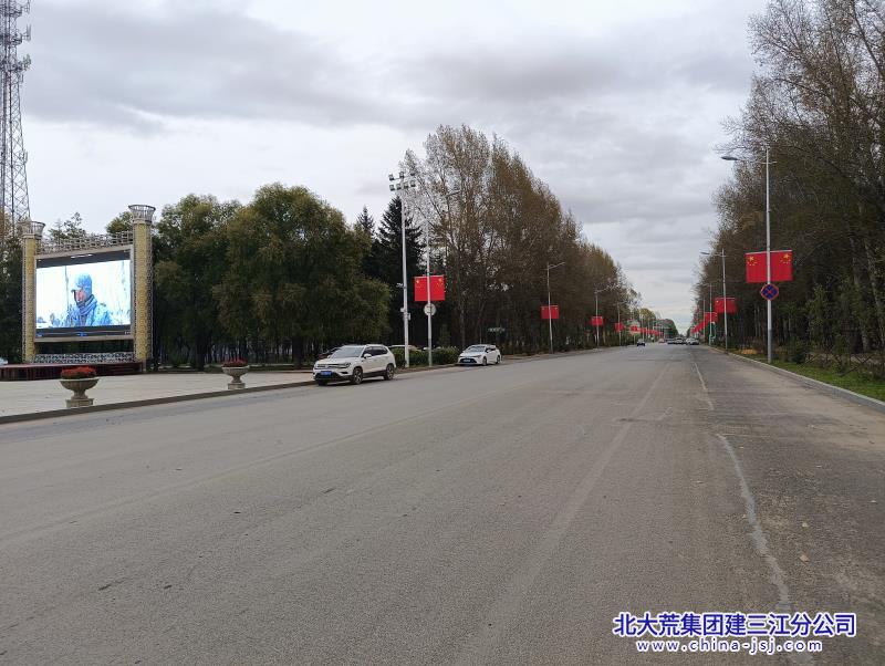 洪河农场有限公司 挂国旗迎国庆 打造满城“中国红”(图3)