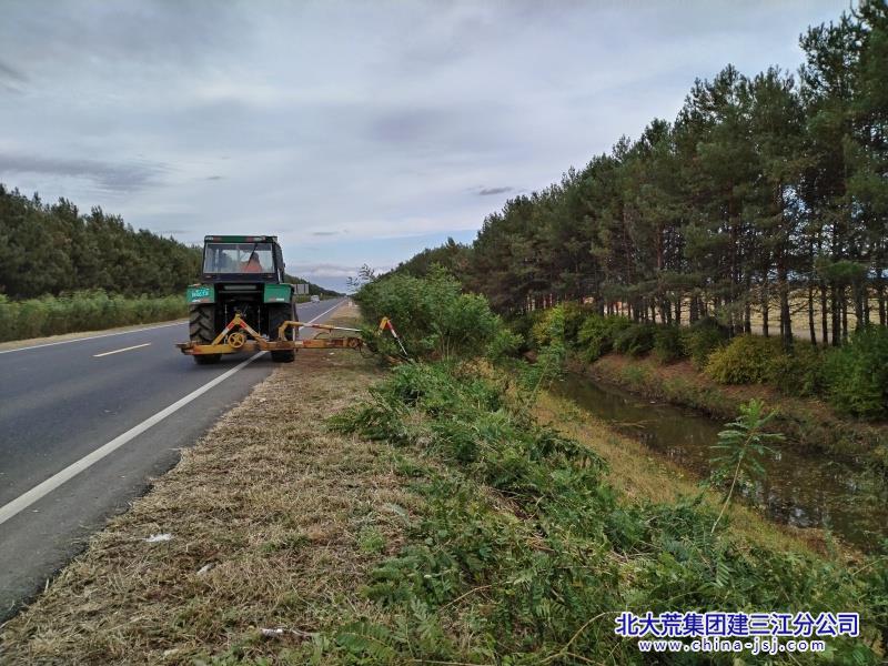 前锋农场有限公司割除公路紫穗槐  保障秋收道路行车安全(图1)