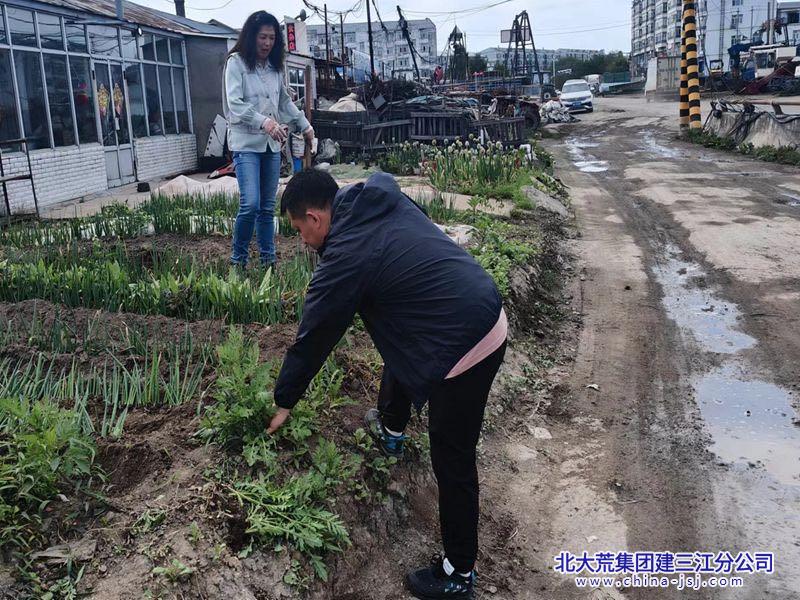 前进农场有限公司持续开展禁种铲毒踏查行动(图2)