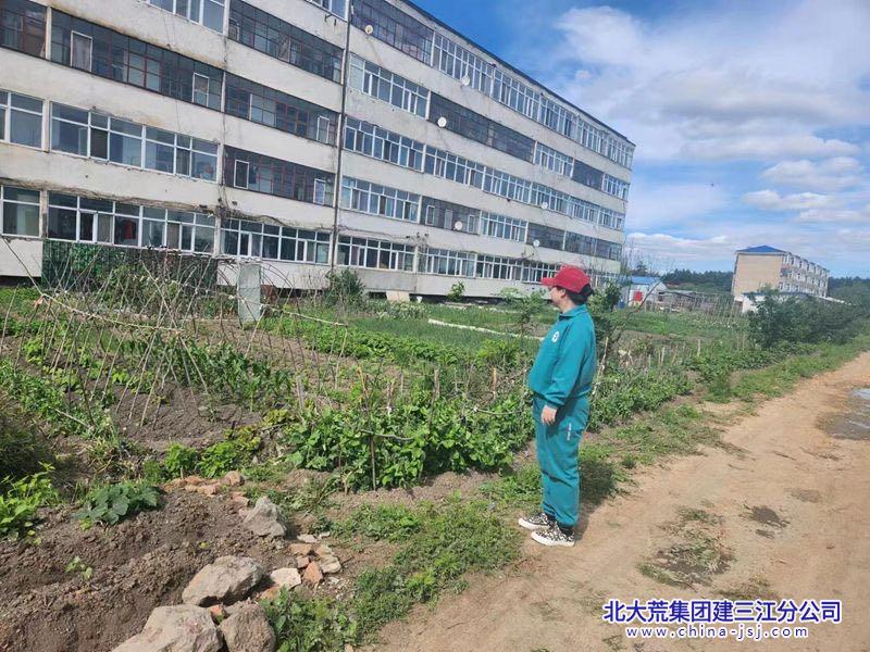 前进农场有限公司持续开展禁种铲毒踏查行动(图1)