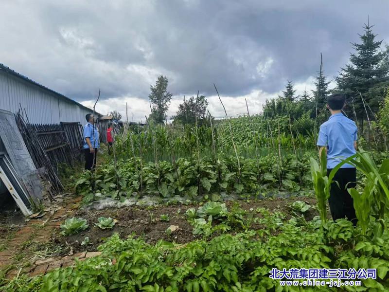 八五九农场有限公司“禁种铲毒”不止步 筑牢禁毒防线(图1)