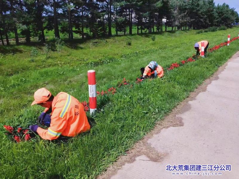 创业农场有限公司开展“除杂草 靓环境 展新颜”主题党日活动(图1)