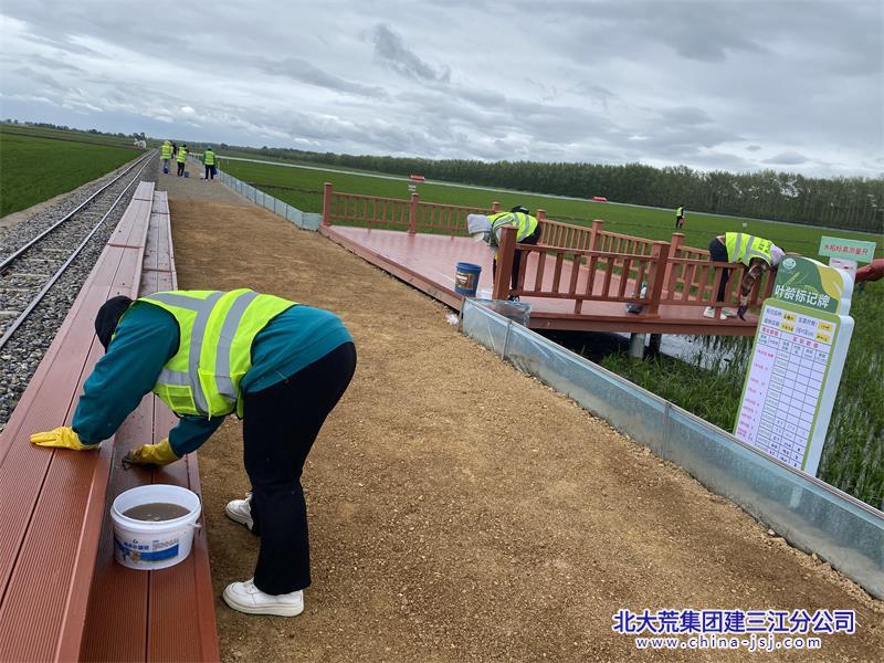 洪河农场有限公司强化夏季辖区保洁 助力打造顶级“农业文旅之乡”(图1)