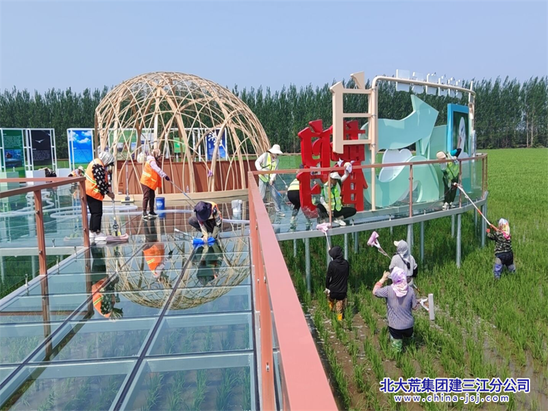 洪河农场有限公司强化夏季辖区保洁 助力打造顶级“农业文旅之乡”(图2)