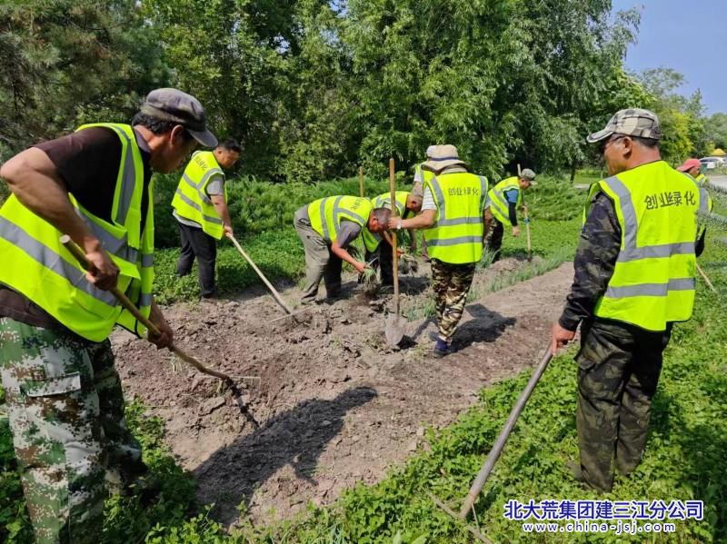 创业农场有限公司开展“毁绿种菜”专项整治活动(图1)
