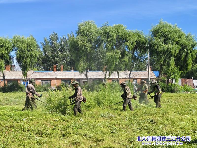 夏日炎炎打草.jpg