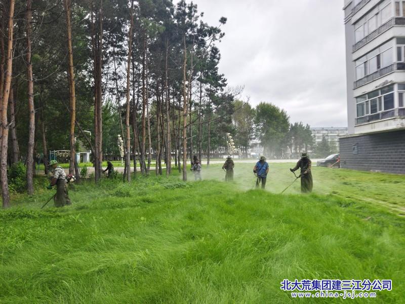 大曹.jpg