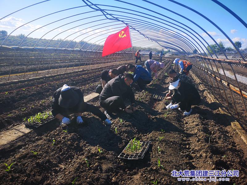 七星农场有限公司社区党员“引领”助力产业扶贫(图1)