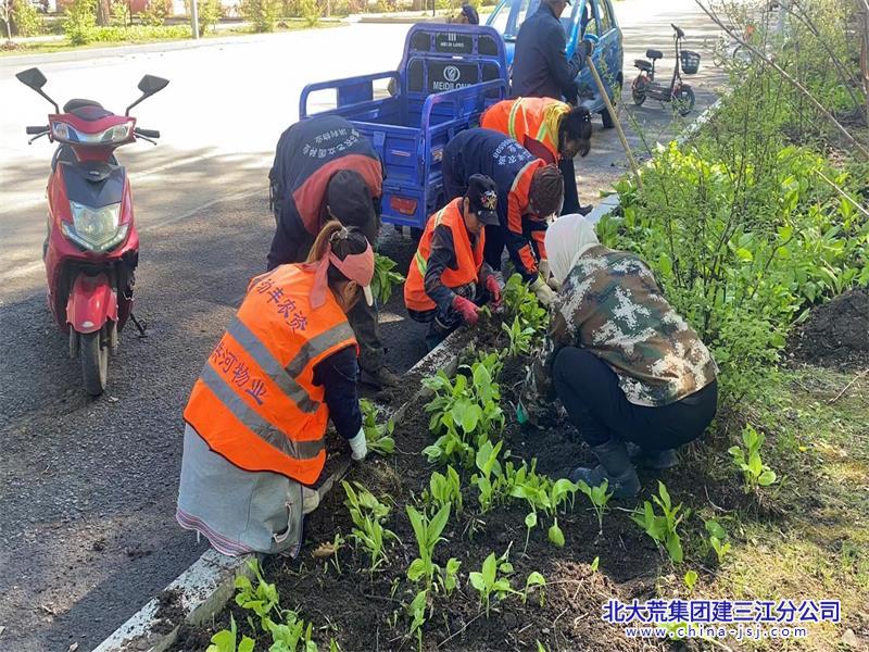 洪河农场有限公司红色物业用心服务 提升居民幸福感(图2)