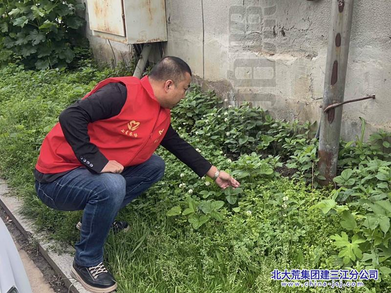 七星农场有限公司社区开展禁毒铲毒踏查活动(图3)