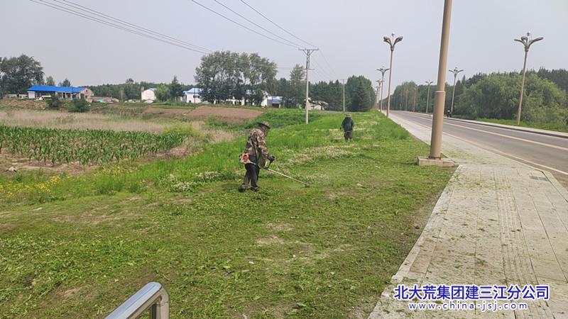 青龙山农场有限公司社区开展清除杂草美化社区环境活动(图1)