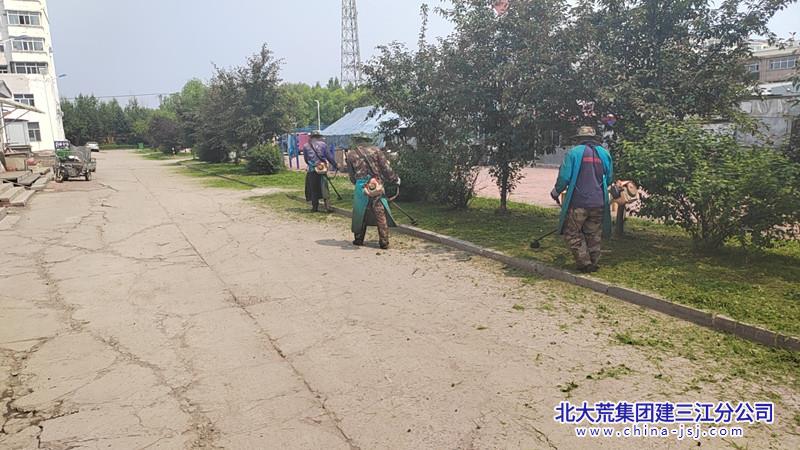 青龙山农场有限公司社区开展清除杂草美化社区环境活动(图2)