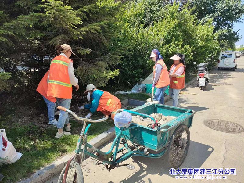 青龙山农场有限公司开展环境整治 共建美丽社区(图2)