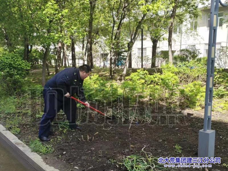 七星农场有限公司社区开展清理“小菜园”美化环境治理行动(图2)