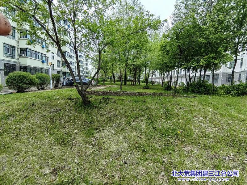 七星农场有限公司社区开展清理“小菜园”美化环境治理行动(图3)