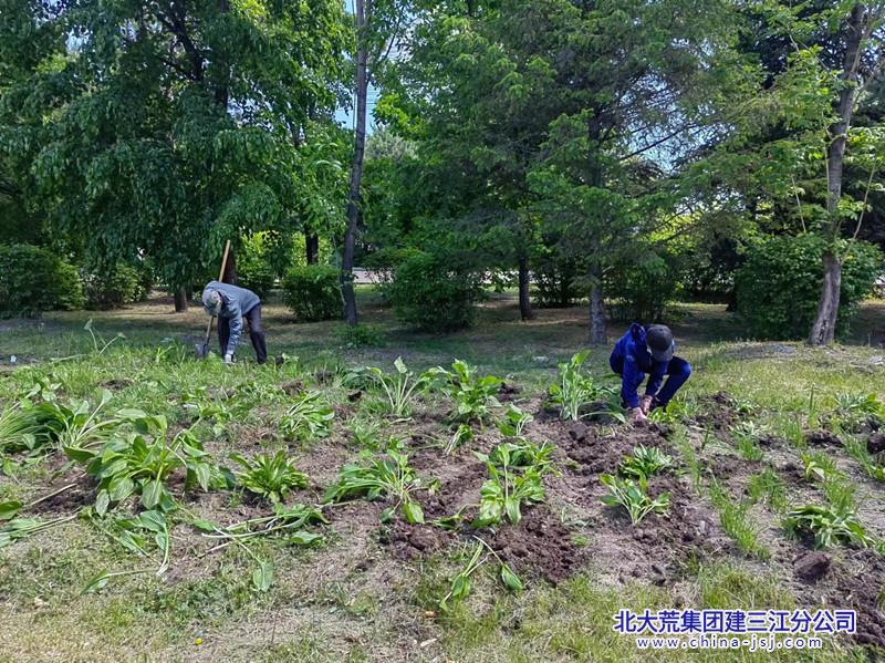 七星农场有限公司社区开展“种花植绿”志愿服务活动(图3)