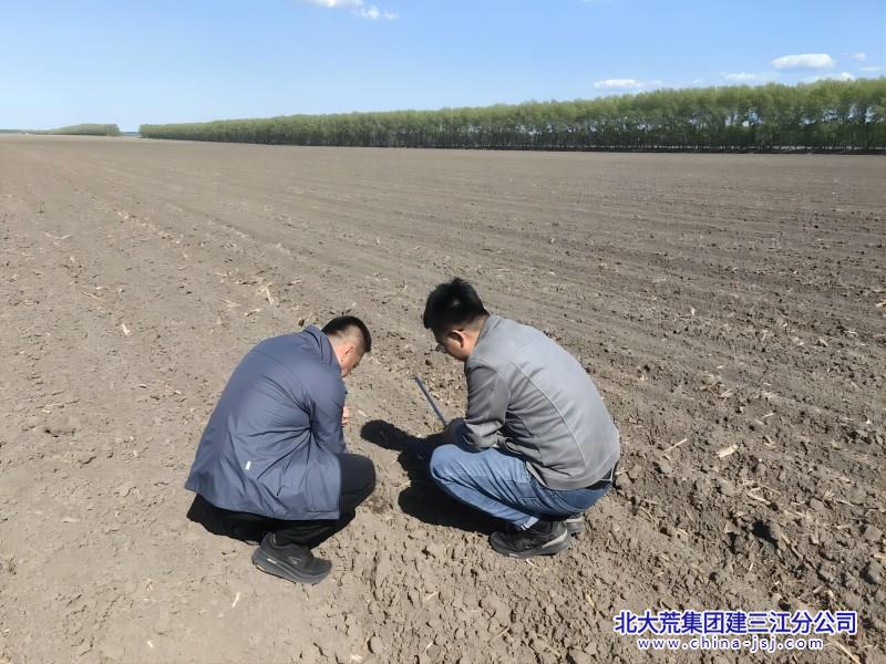 旱田诊断出苗情况 (1)(1).jpg
