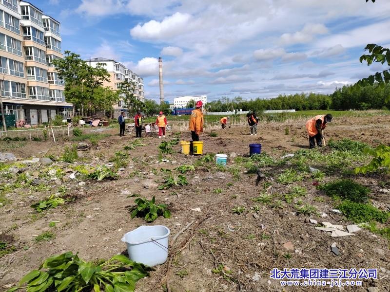 种花.jpg