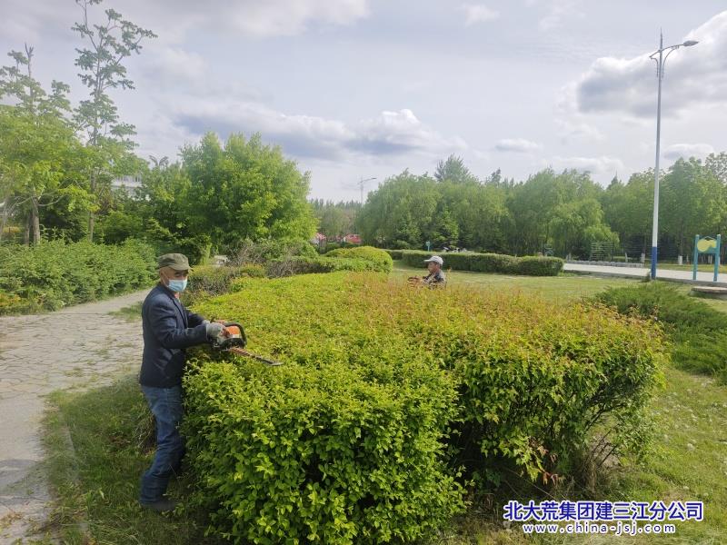 绿化养护忙.jpg