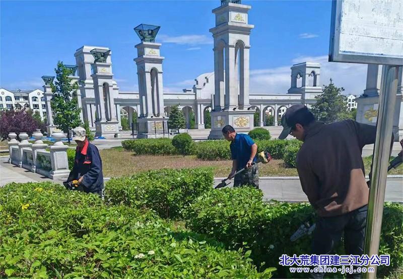 大兴农场有限公司夏日“梳妆”让绿色“颜值”拉满(图1)