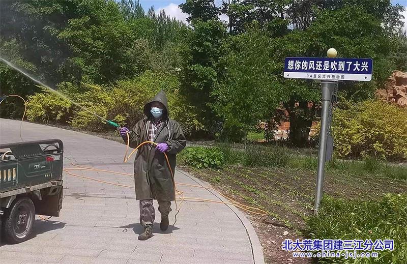 大兴农场有限公司夏日“梳妆”让绿色“颜值”拉满(图2)