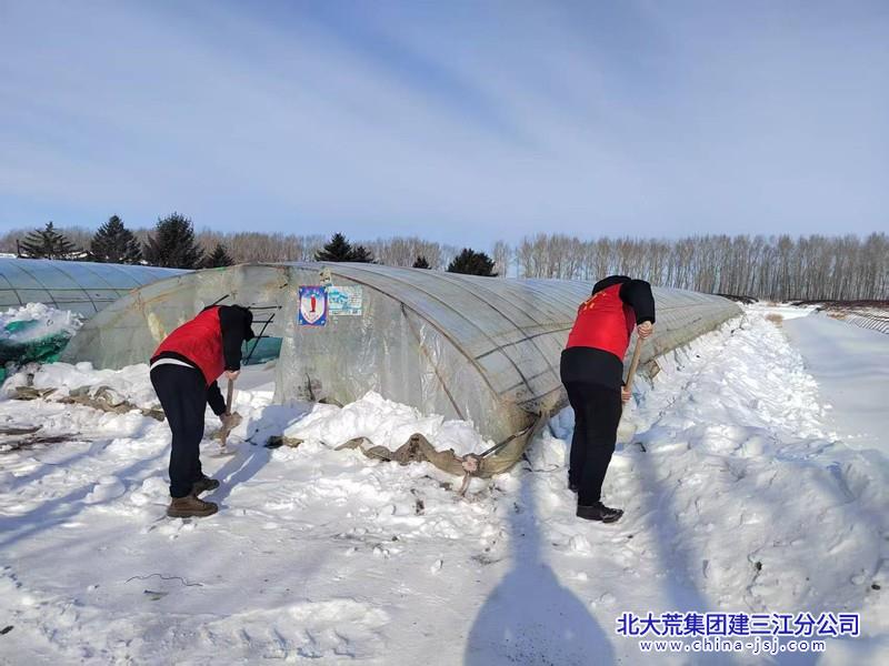 浓江农场有限公司党员干部全力应对极端天气(图2)