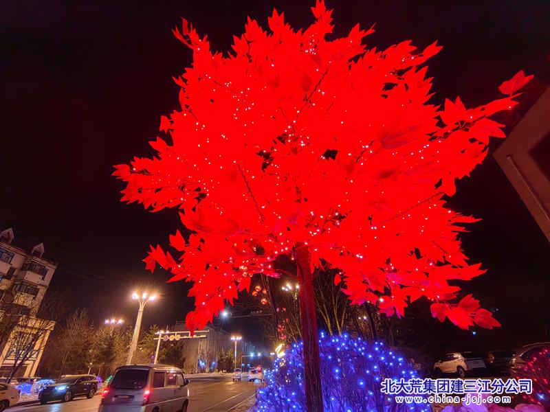 七星农场有限公司社区张灯结彩迎新春 点亮欢乐幸福年(图2)