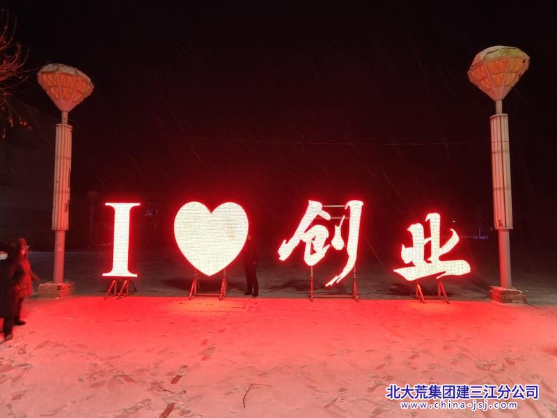 创业农场有限公司安装彩灯喜迎佳节氛围浓(图3)