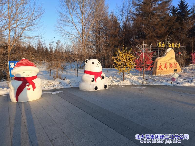 洪河农场有限公司携手打造“冰雪一条街”打卡圣地(图2)