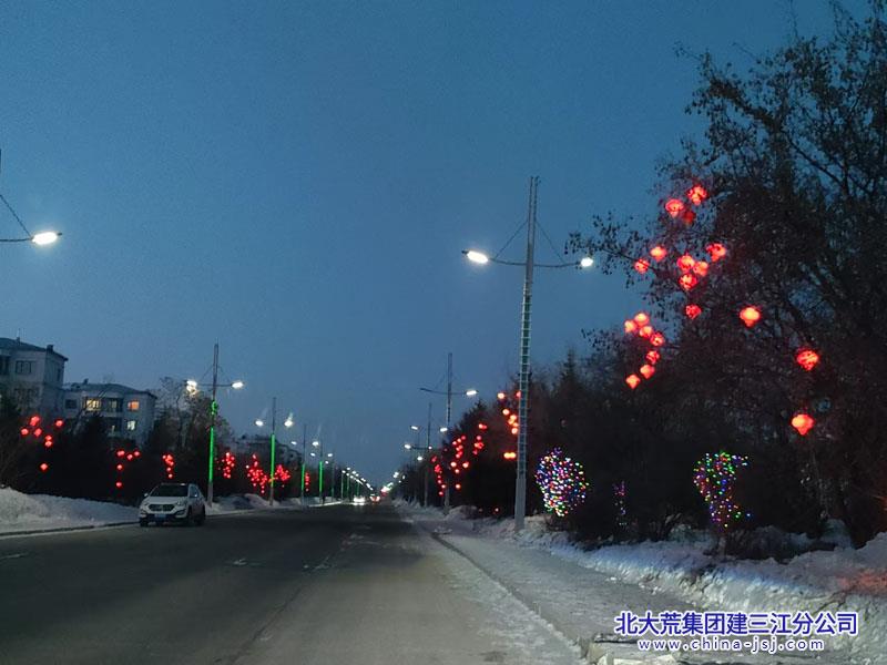前进农场有限公司社区节前亮化迎新春 扮靓夜色年味浓(图2)