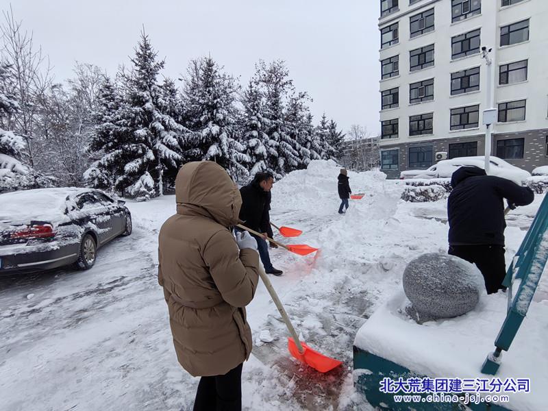 七星农场有限公司社区开展除雪保畅攻坚行动 共筑安全出行路(图1)