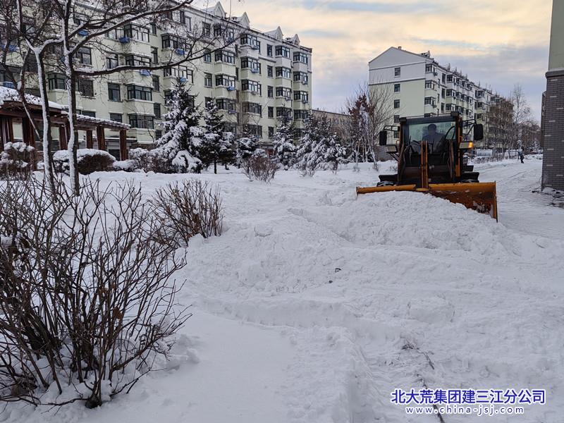 七星农场有限公司社区开展除雪保畅攻坚行动 共筑安全出行路(图2)