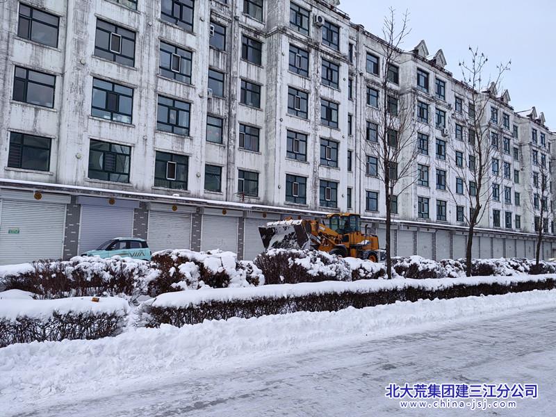七星农场有限公司社区开展除雪保畅攻坚行动 共筑安全出行路(图3)