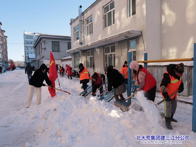 欣园社区开展“清雪除冰 美化家园”志愿服务活动(图4)