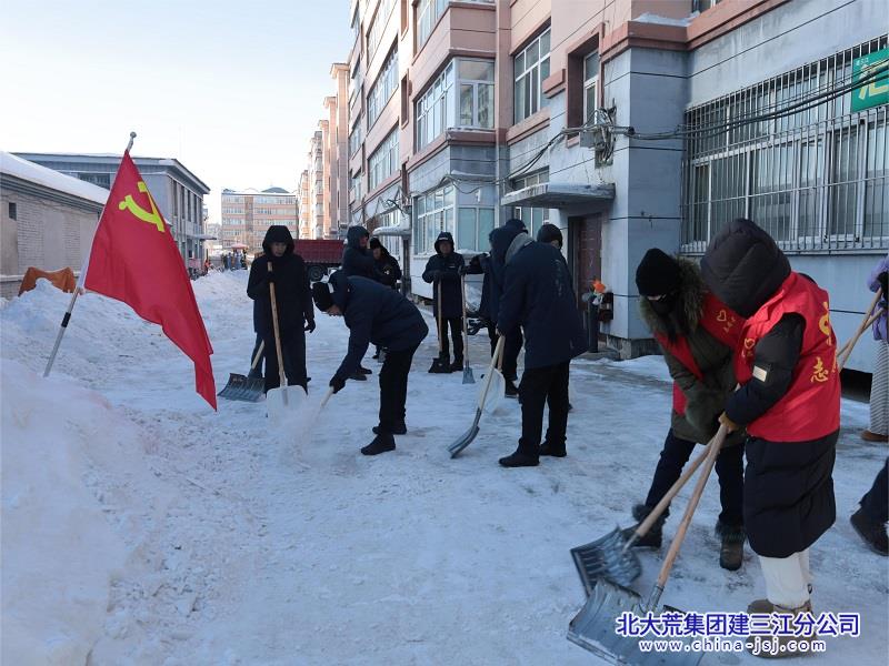 欣园社区开展“清雪除冰 美化家园”志愿服务活动(图2)