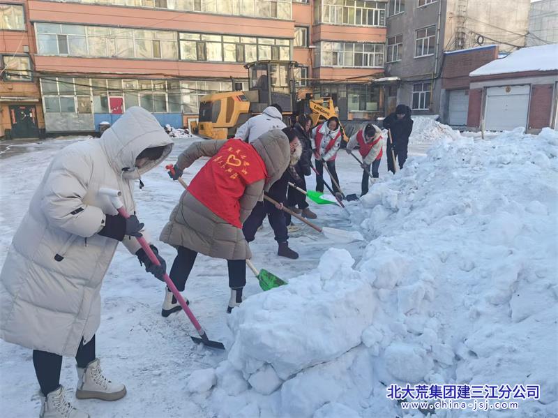 星河社区开展“扫雪除冰在行动  党员先行暖民心”志愿服务活动(图1)