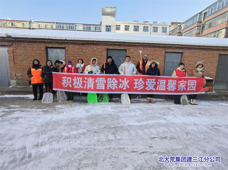 星河社区开展“扫雪除冰在行动  党员先行暖民心”志愿服务活动(图2)