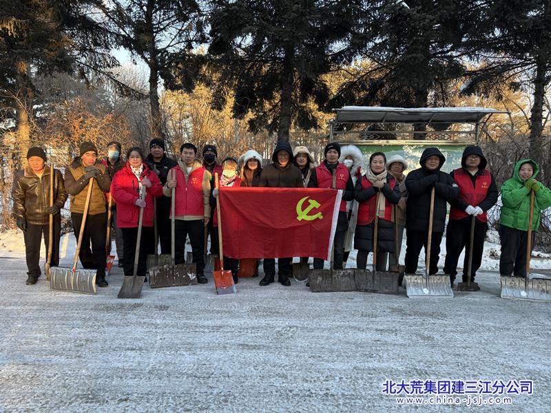 铁南社区开展全民清冰雪志愿服务活动(图2)