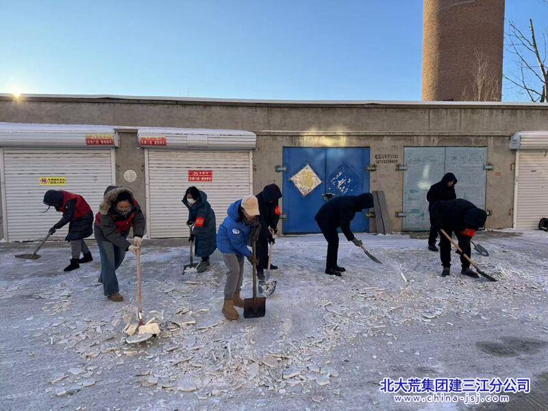 盛源社区开展“清冰除雪保平安 志愿服务暖民心”服务活动(图3)